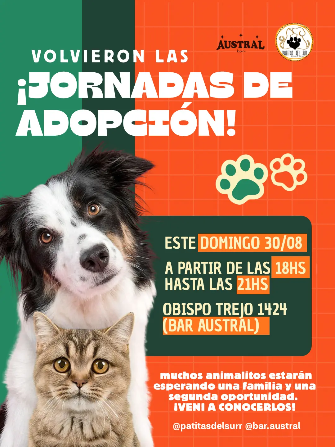 Jornada de adopción
